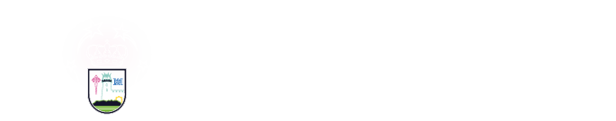 Comisión de Festejos de Puebla de Almenara
